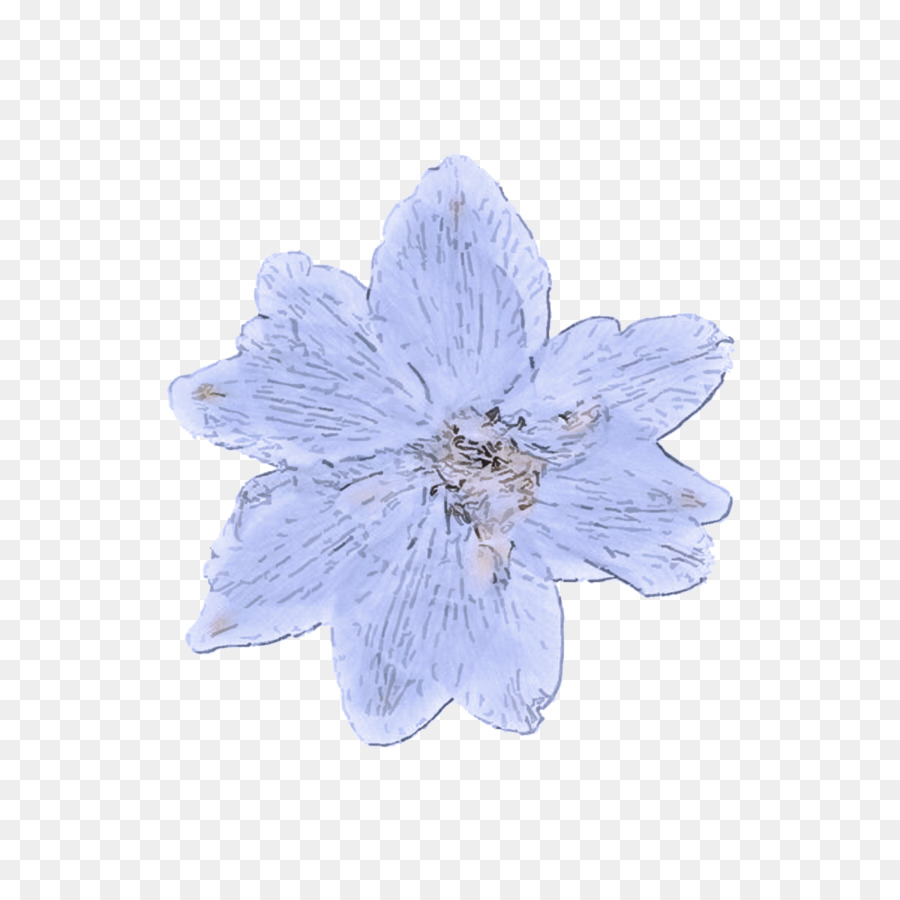 Blaue Blütenblattblume violette Pflanze - 