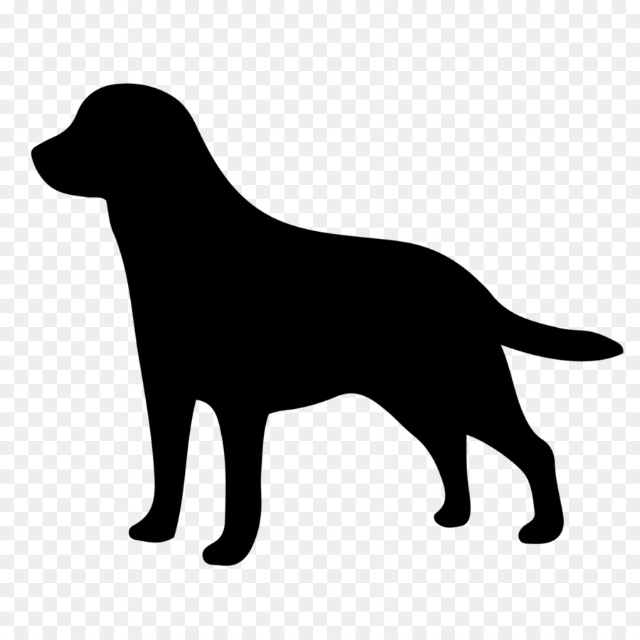 dog retriever sporting group labrador retriever flat-coated retriever