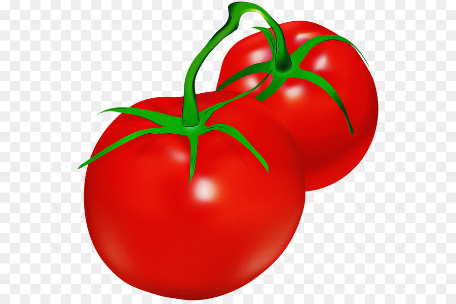Tomaten - 