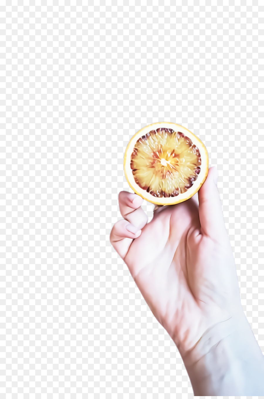 Lebensmittelhandfruchtfinger-Teller - 
