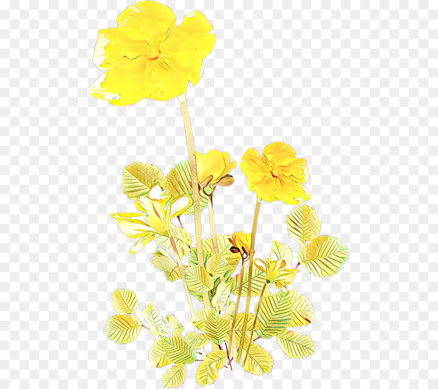 yellow flower plant plant stem petal