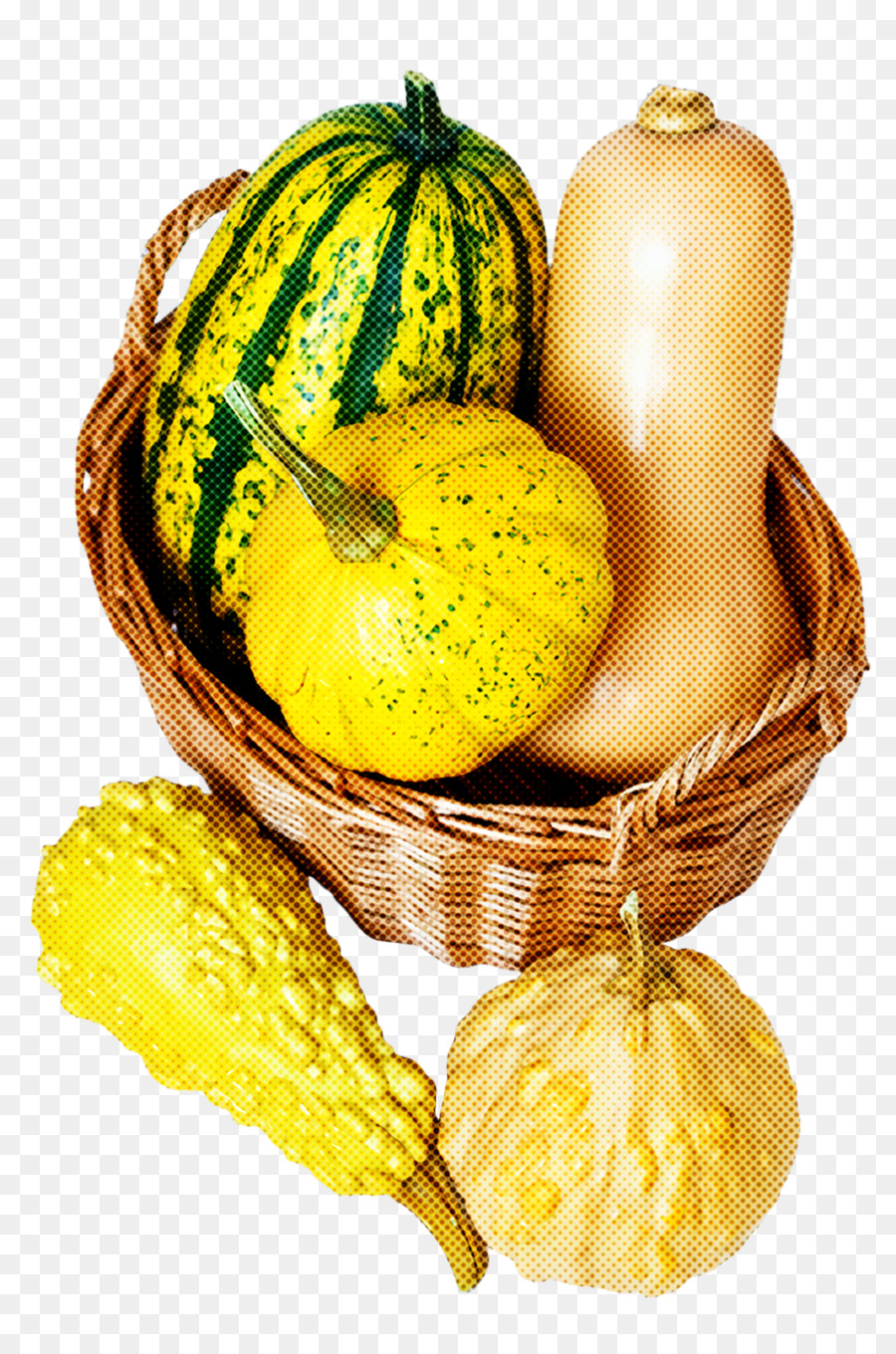 natural foods gourd winter squash vegetable cucurbita