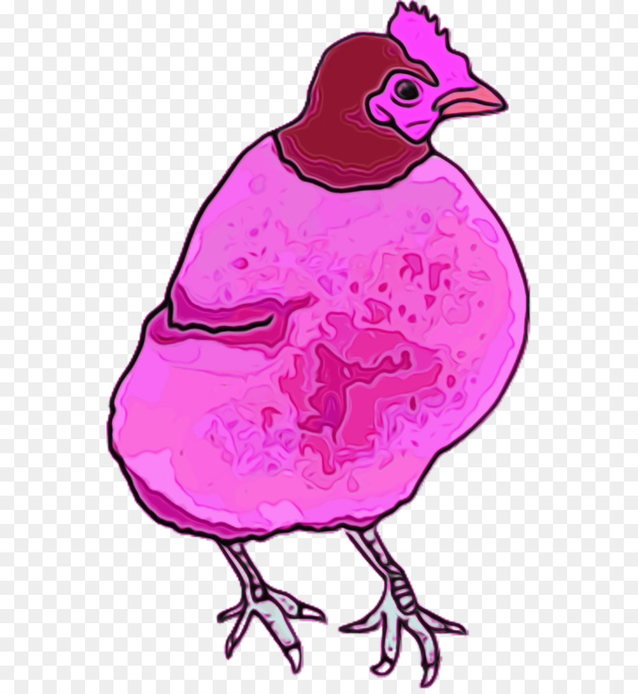 rosa magentarote Zeichnung des Vogelschnabels - 