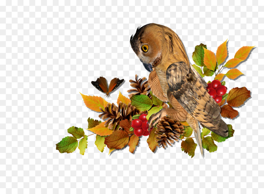 cành lá cây sóc chim - động vật mùa thu tháng tám png