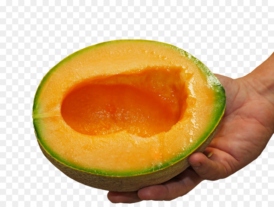 Avocado - süße Melone