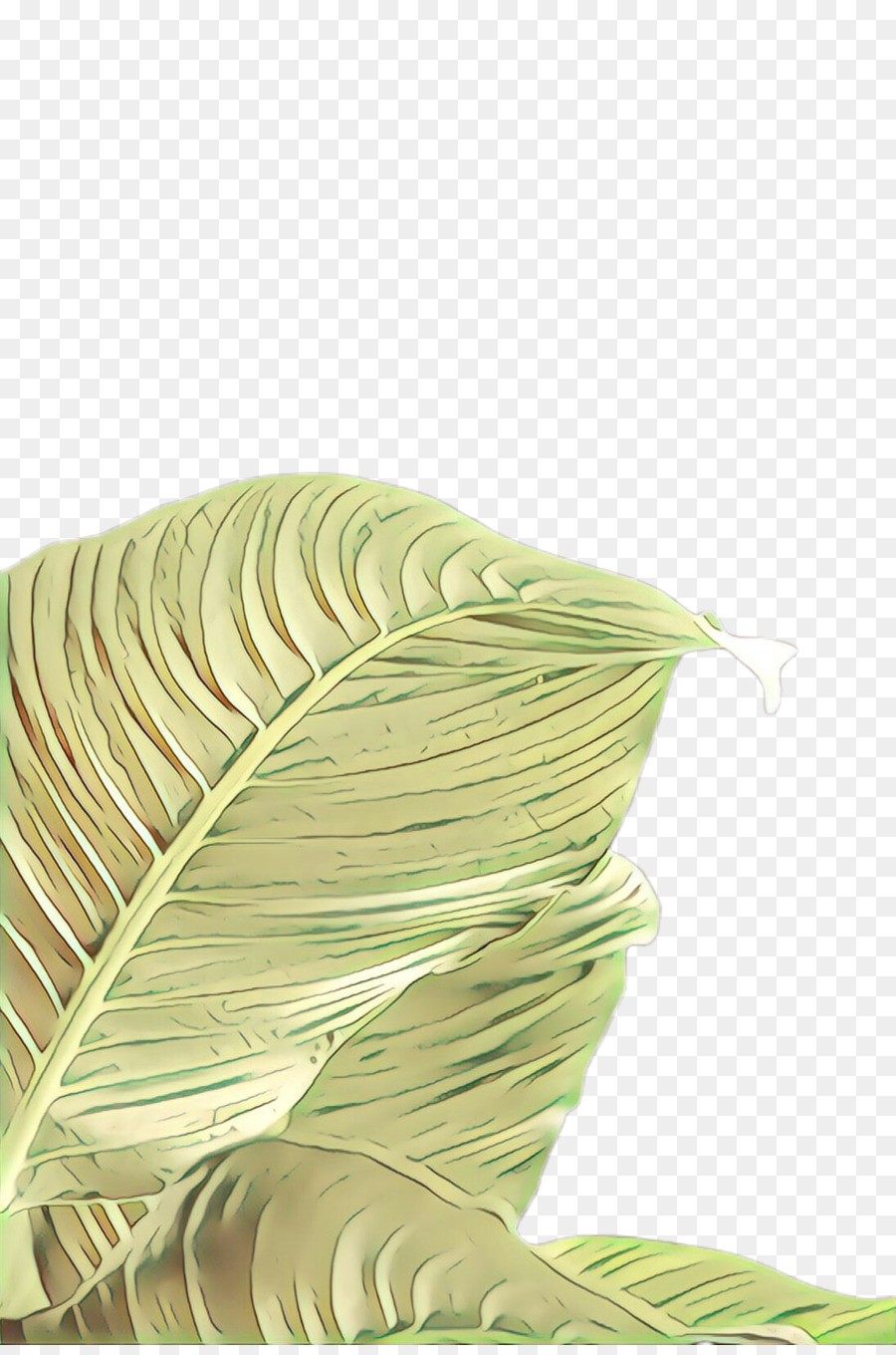 green leaf line plant thread