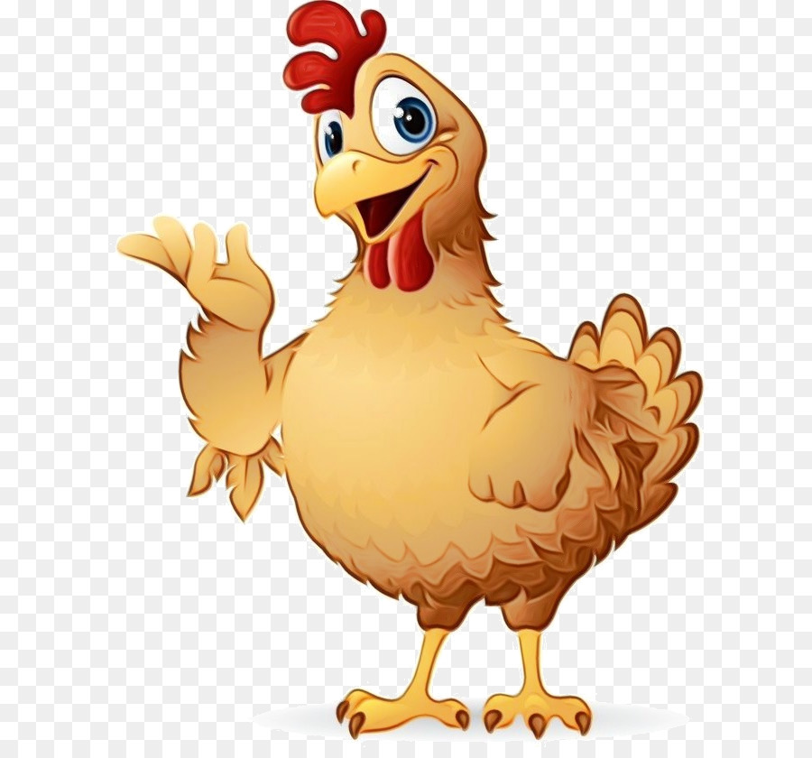 pollo uccello gallo becco cartone animato - 
