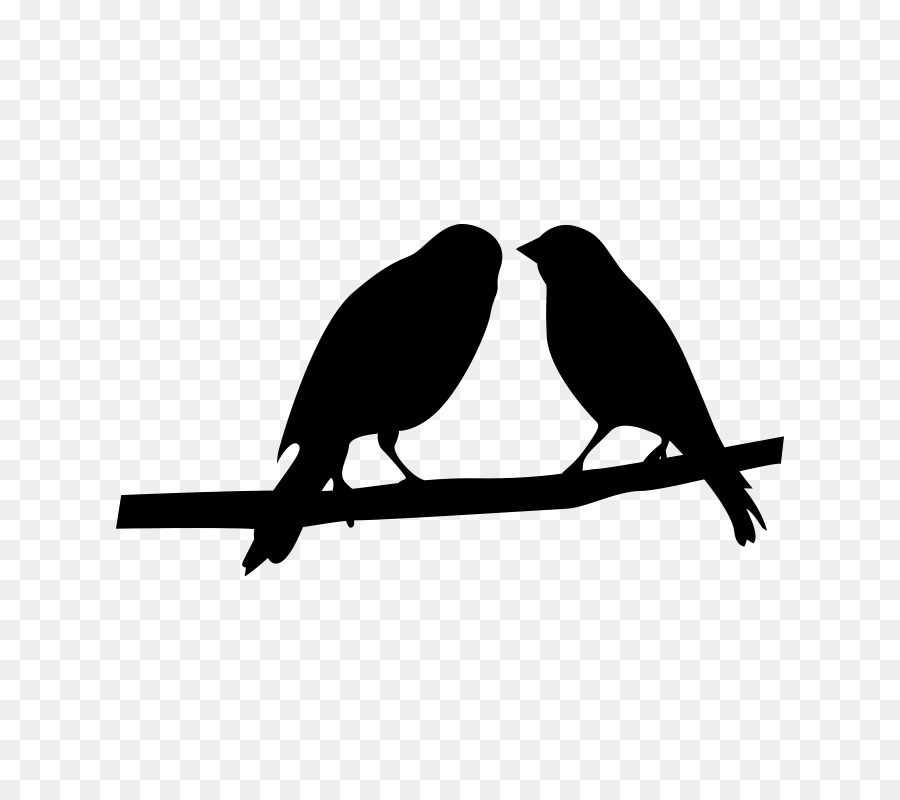 becco di uccello ramo nero Songbird - telaio degradato