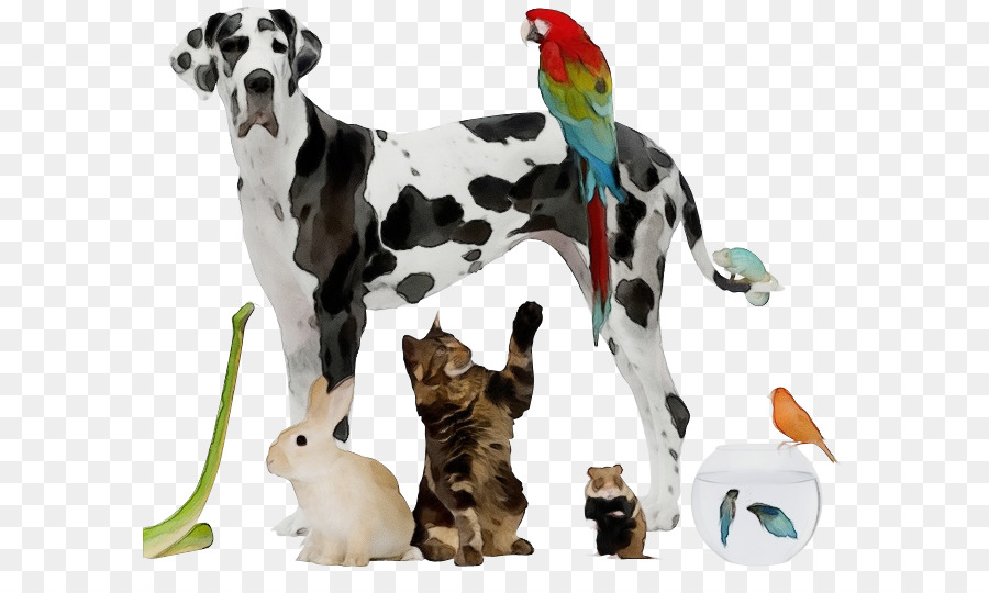 động vật hình chó dalmatian đồ chơi tuyệt vời - 