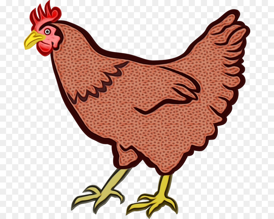 chicken bird rooster beak comb