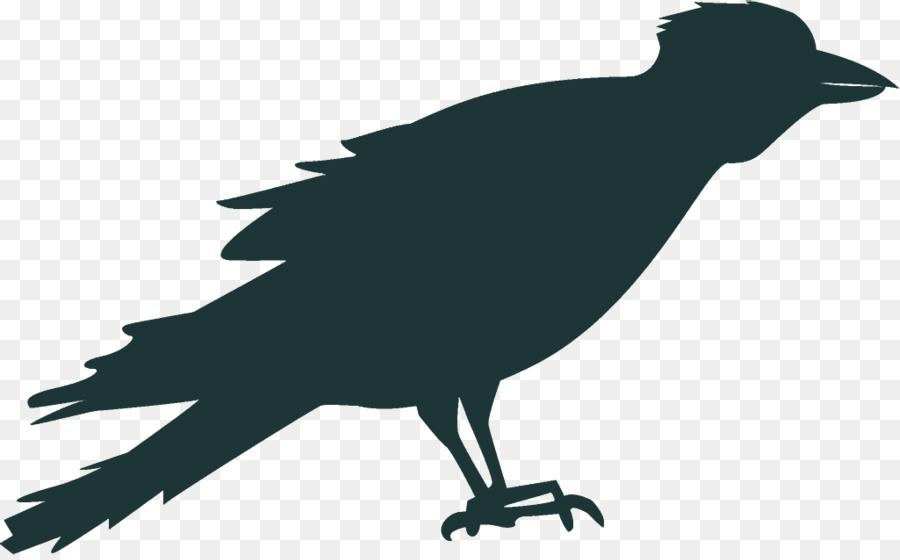 raven halloween crow