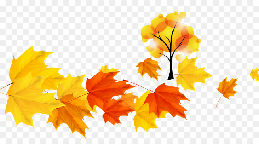 foglia di acero - giorno dell'amicizia foglie di autunno png psd