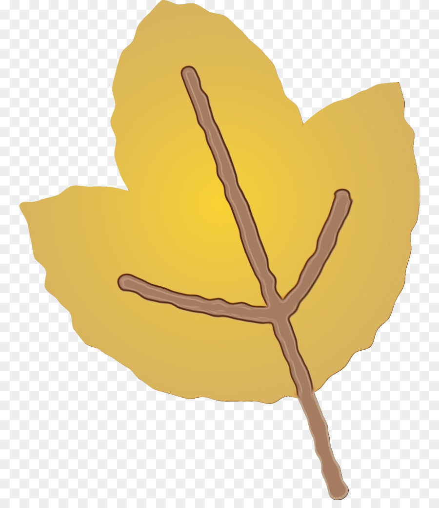foglia gialla mano albero pianta - 