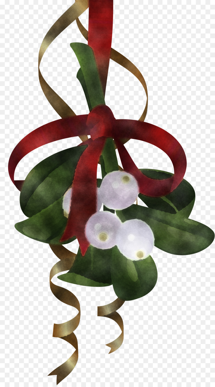 Impianto di fiori Anthurium. - 