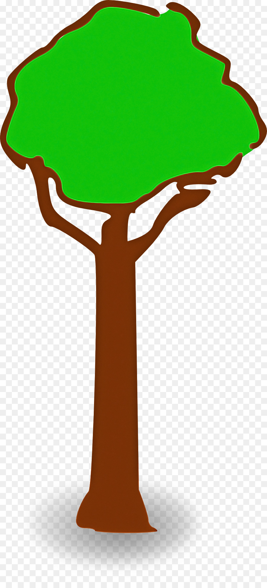 albero verde pianta legnosa foglia pianta - 