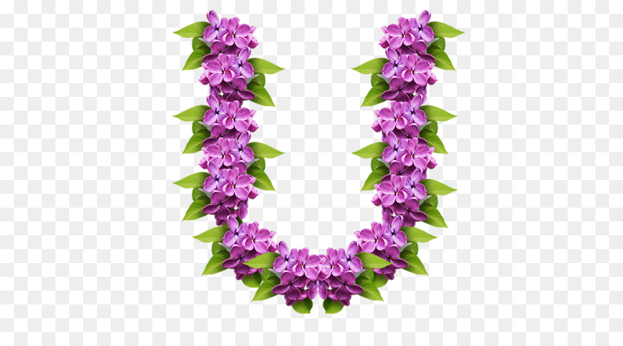Hoa oải hương - Garland Lilac.