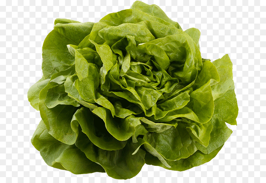 Blattgemüse Gemüsenahrung Salat Eisbergsalat - Endive PNG-Salat.