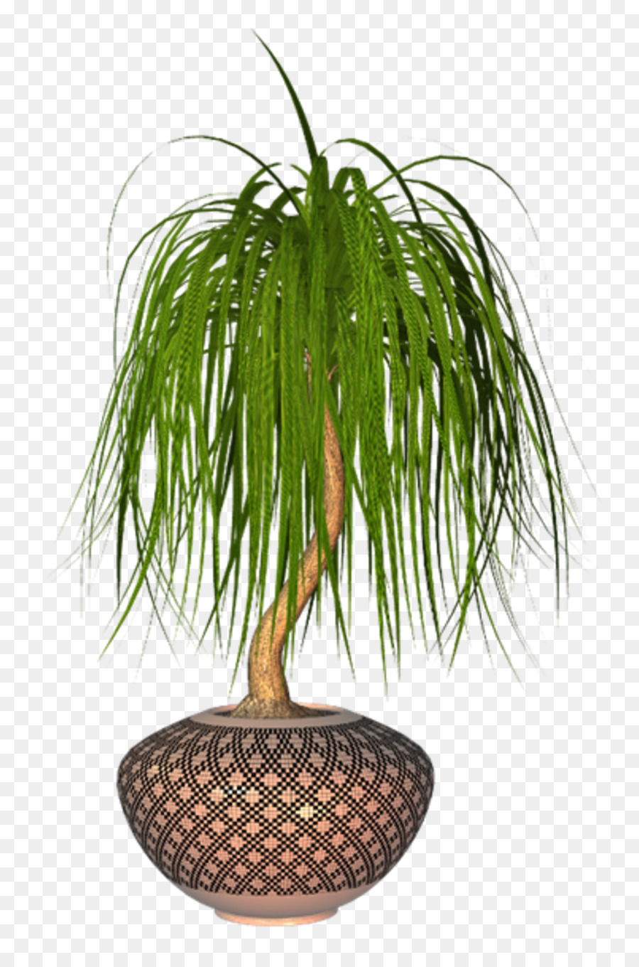 albero di palma - Plant della casa floreale PNG