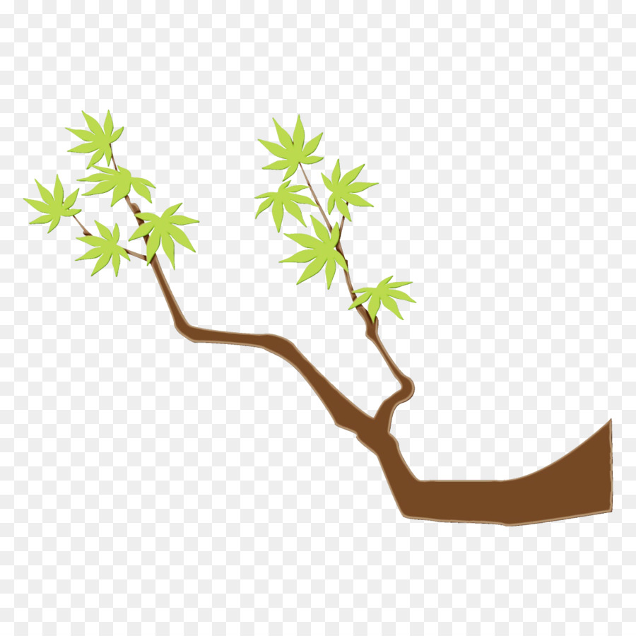 ramo pianta albero pianta stelo larice americano - 
