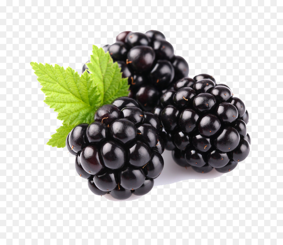 Berry Blackberry Fruit Rubus-Anlage - Beeren