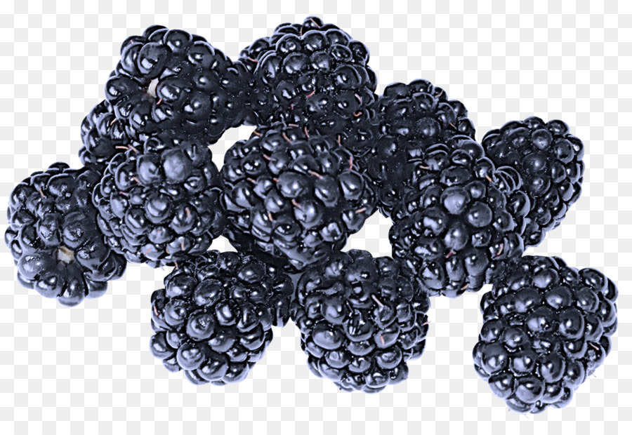 blackberry berry rubus trái cây loganberry - 