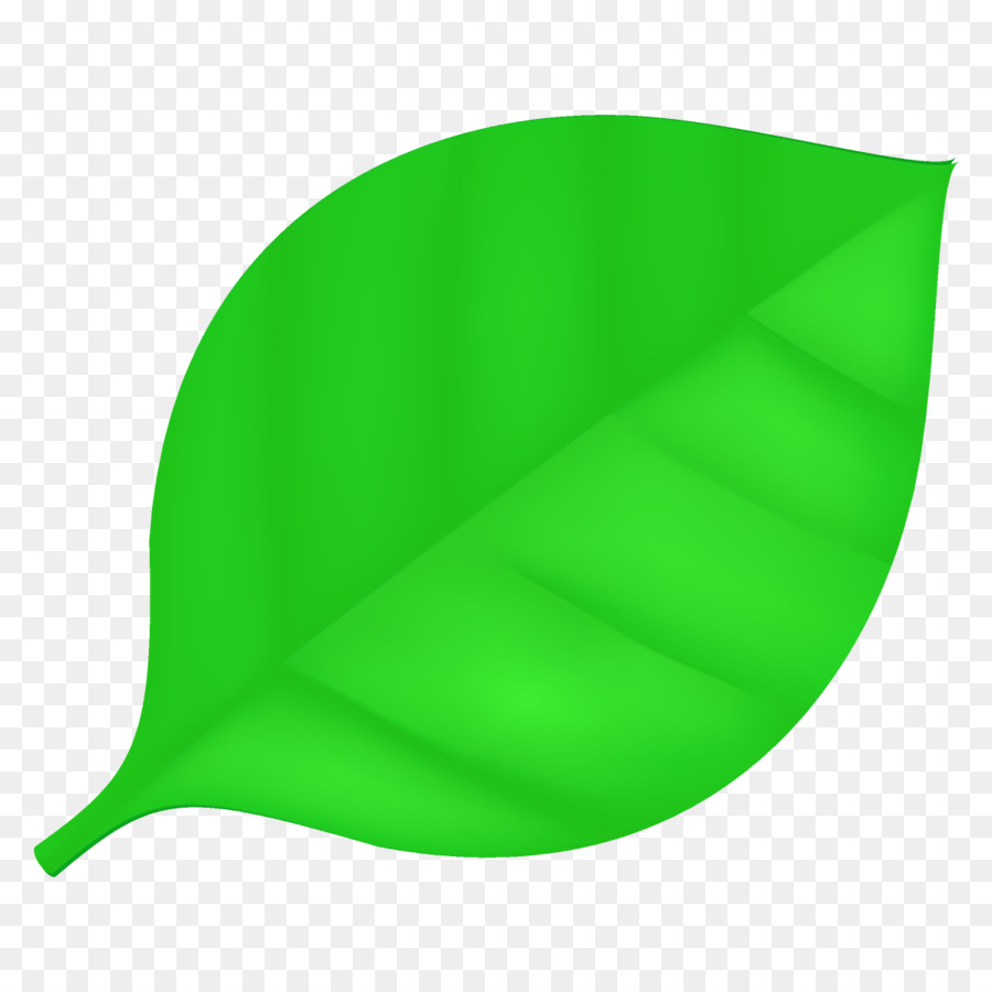green leaf flag plant png download - 1200*1200 - Free Transparent Cartoon  Leaf png Download. - CleanPNG / KissPNG