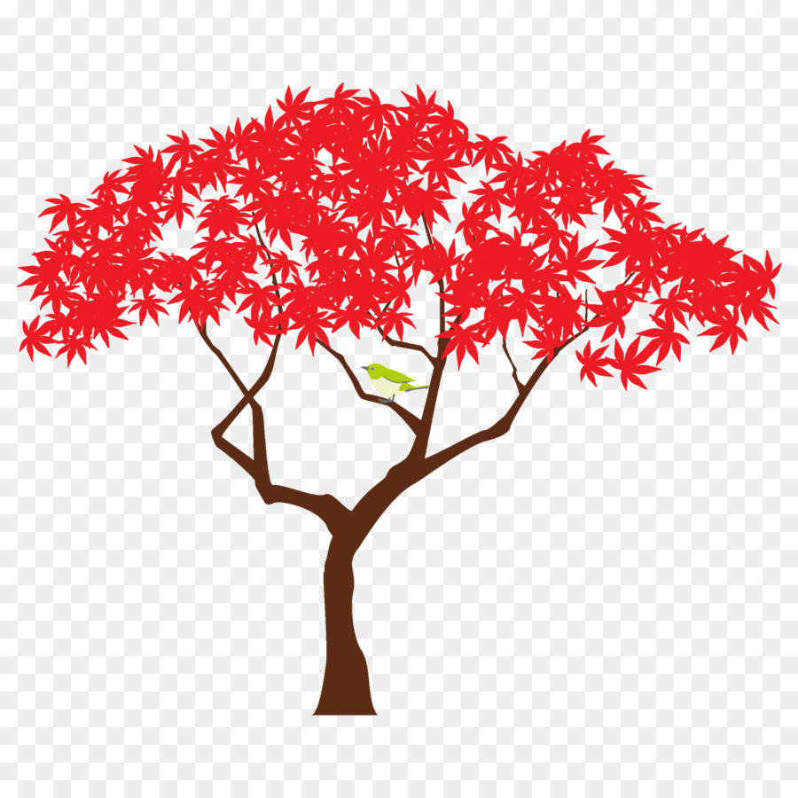 Herbst Ahornbaum Ahornbaum Herbstbaum - 