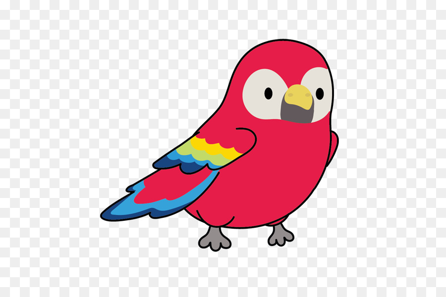 bird cartoon parrot beak parakeet