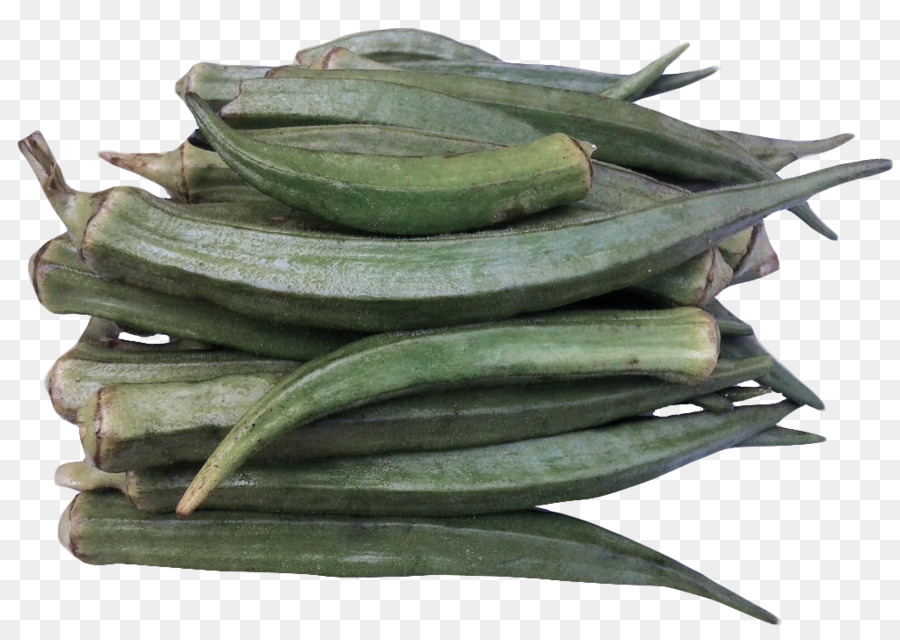 okra plant food vegetable mallow family