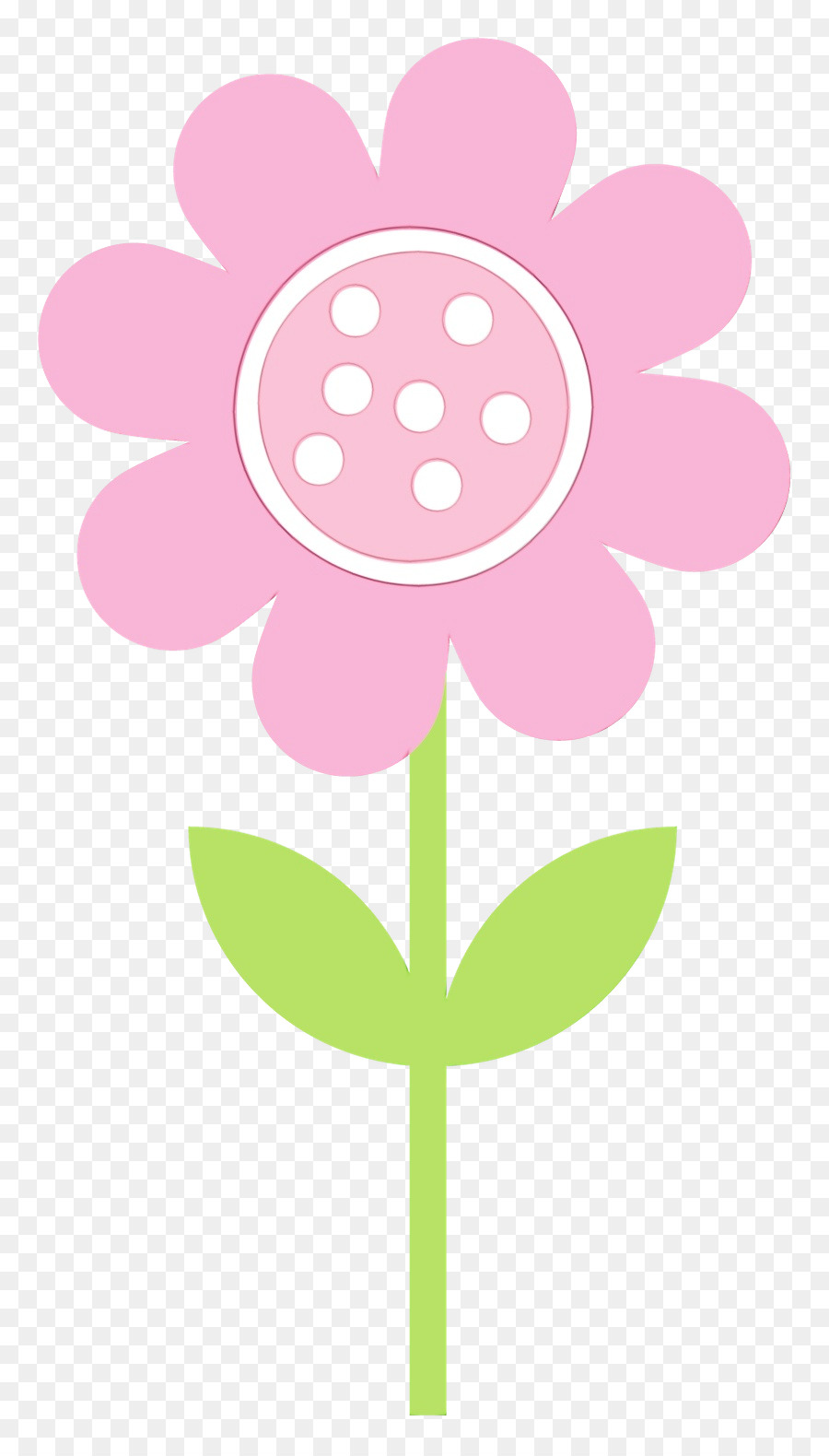 rosa Blütenpflanze Blütenblatt Schnittblumen - 