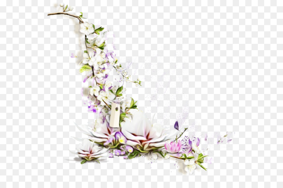 cây hoa tử đinh hương tím tím - 