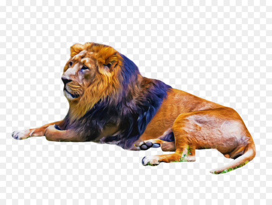 Löwe Tierwelt brüllen Tierfigur Masai Löwe - 
