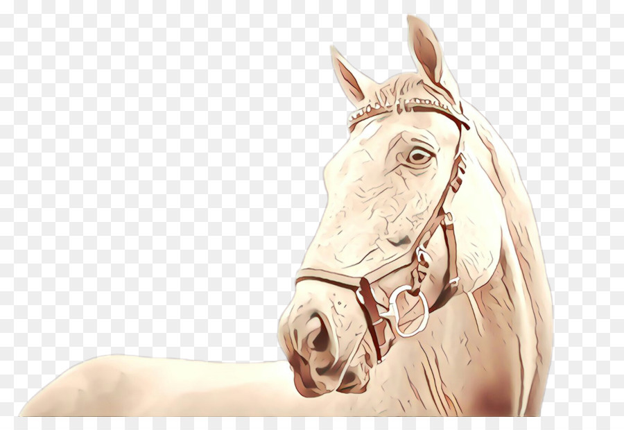 horse bridle head drawing mane