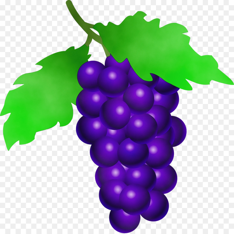 uva senza semi di frutta foglie di vite vite famiglia vitis - 