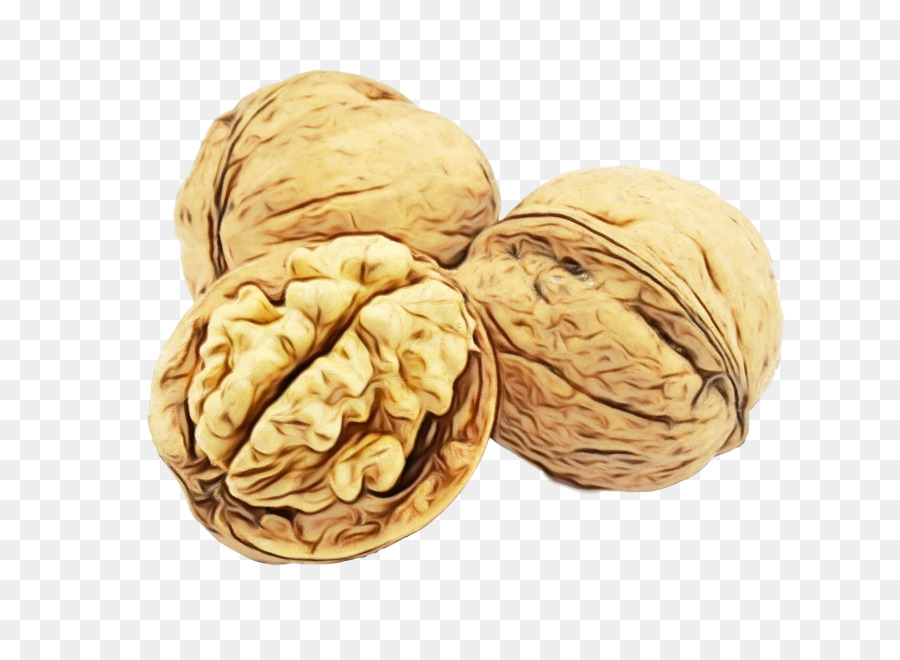 walnut nut nuts & seeds food plant