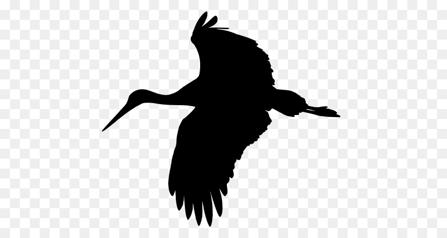 bird beak wing silhouette crane-like bird