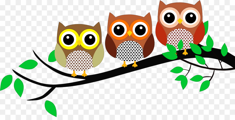 owl bird branch bird of prey eastern screech owl