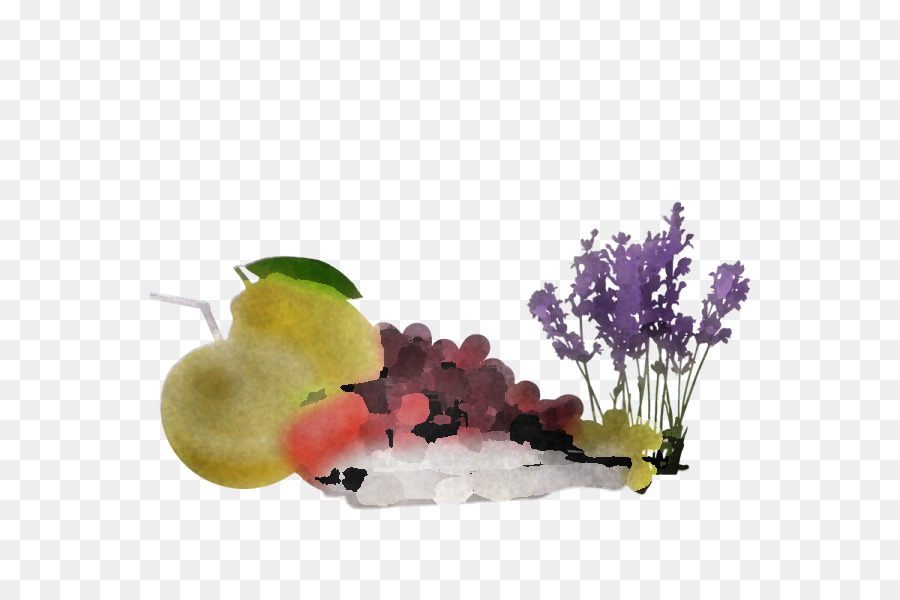 Traubenanlage Blume Vitis Frucht - 