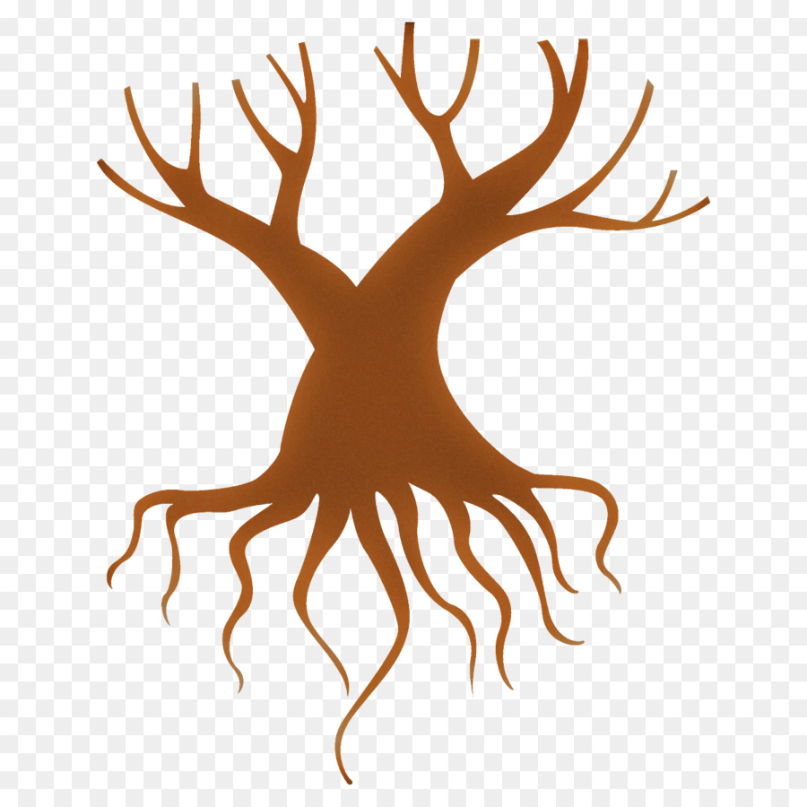head tree plant root