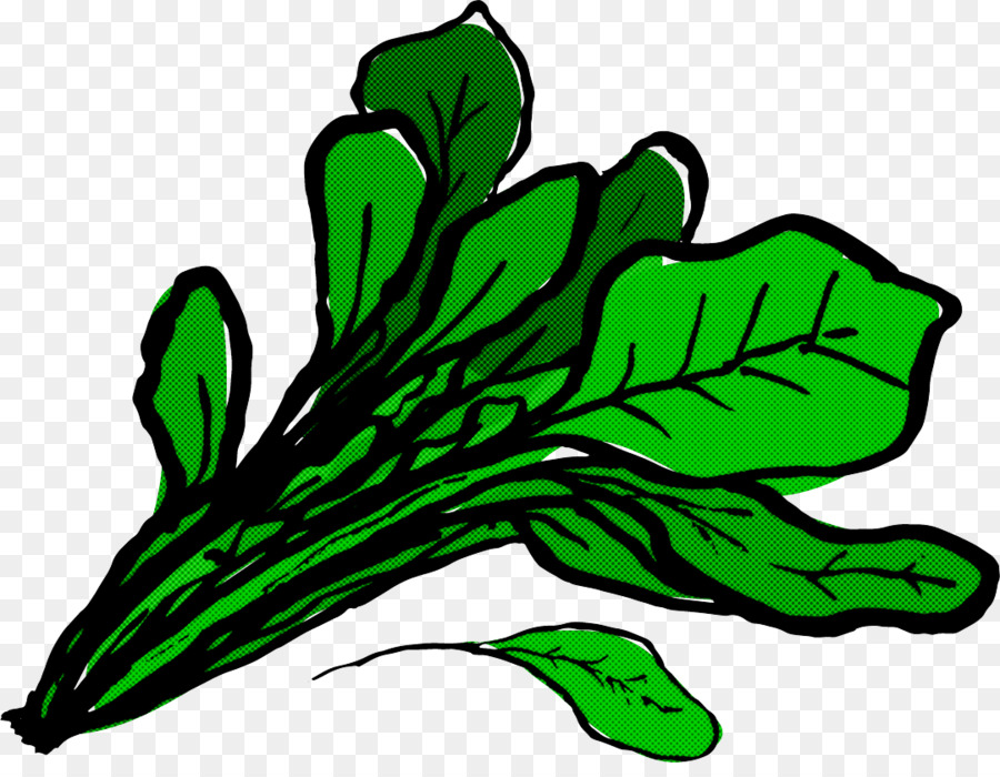green leaf plant leaf vegetable