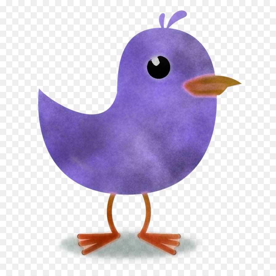 purple bird beak violet