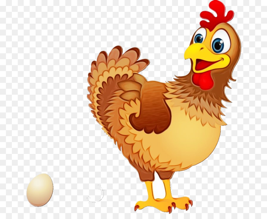 chicken bird rooster cartoon beak