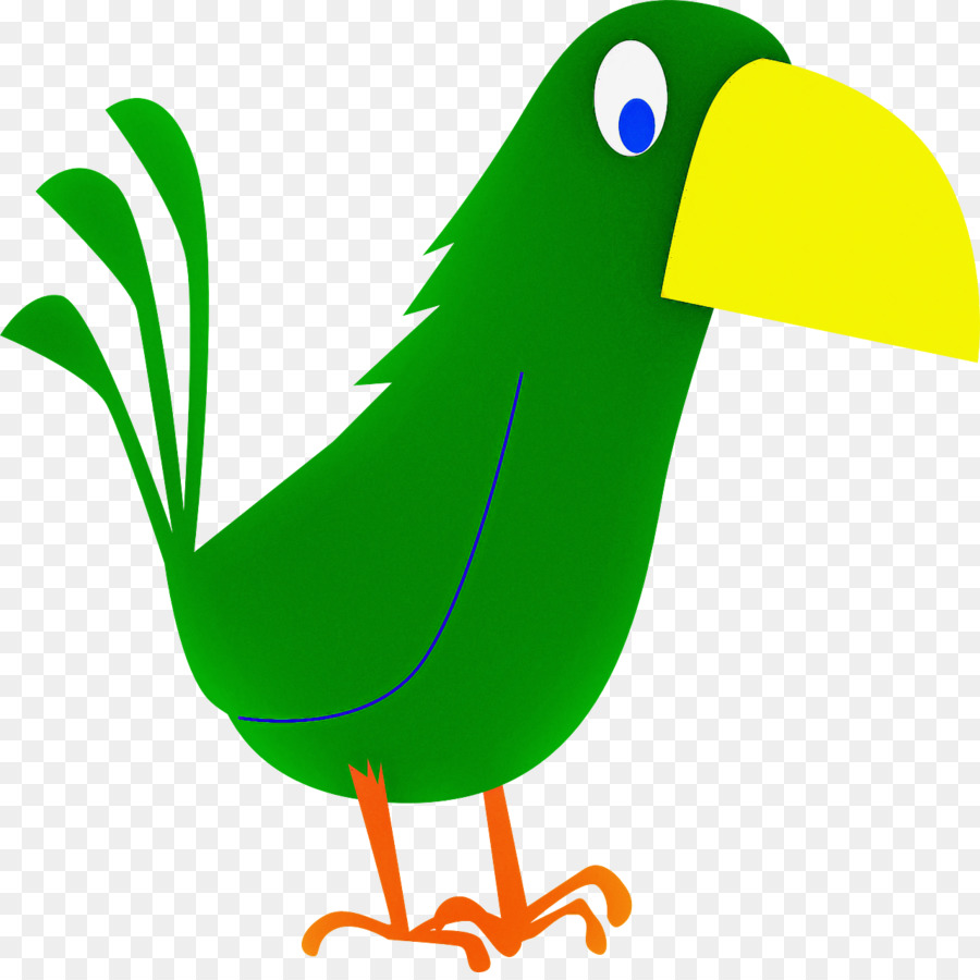 Bird Beak Green Toucan Piciformes - 