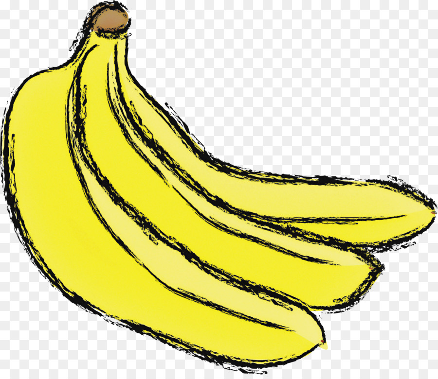 banana family saba banana banana cooking planttain fruit - 