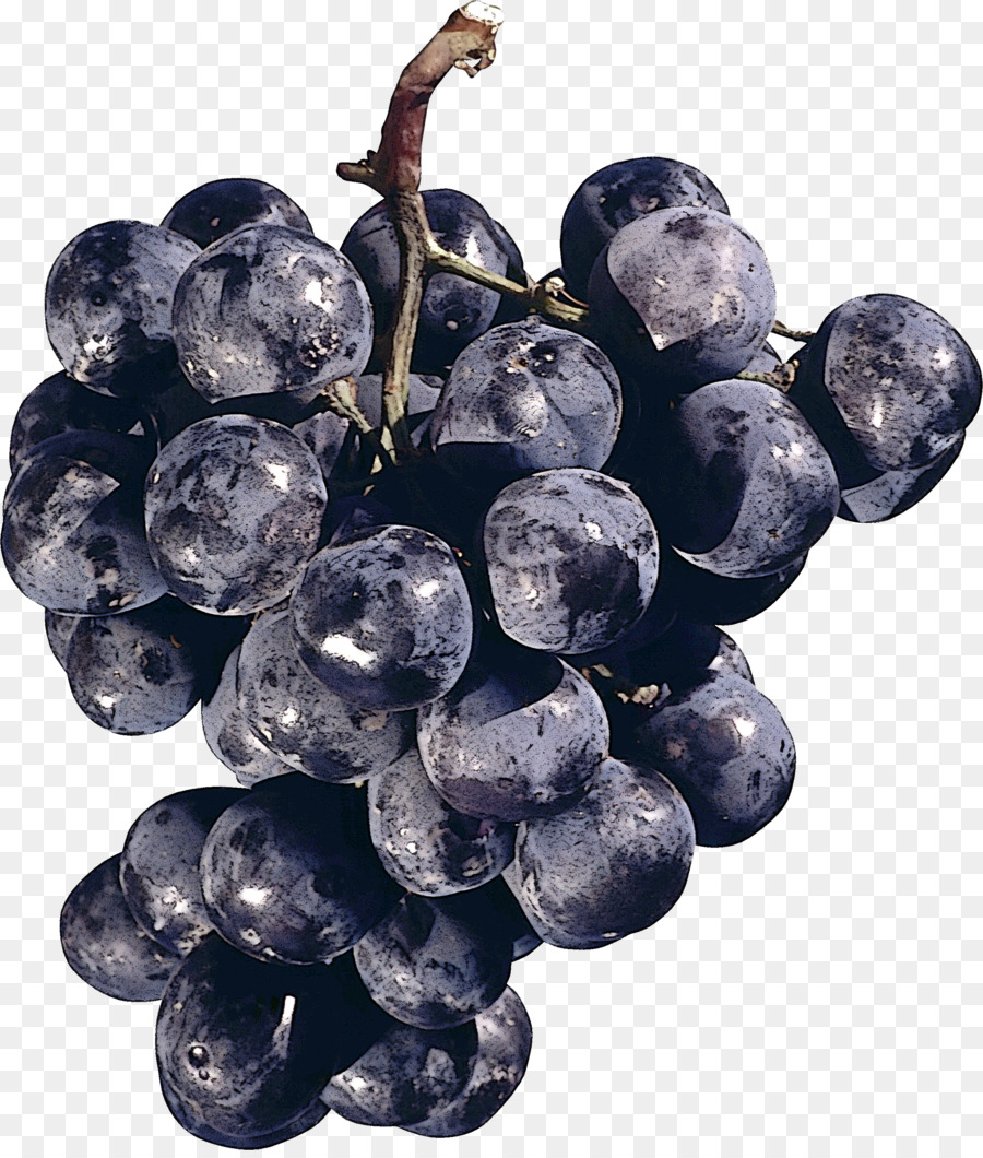 Pianta di superfood della famiglia della famiglia della frutta dell'uva - 