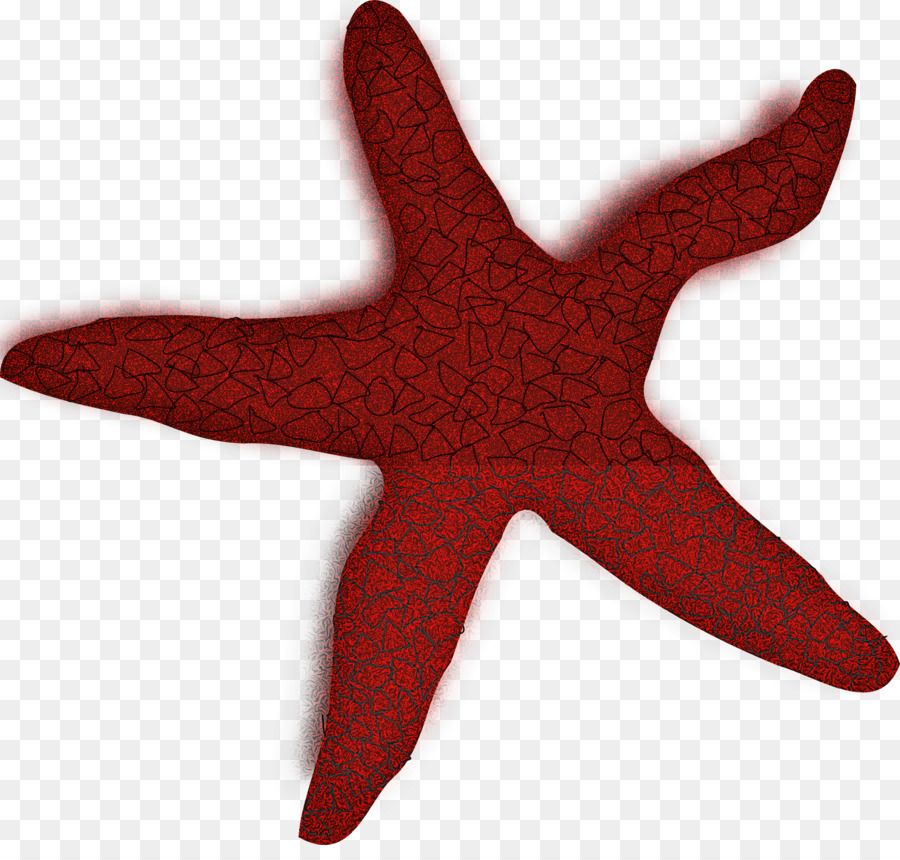 starfish red star