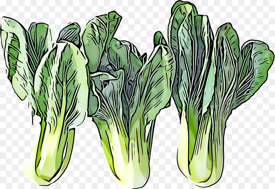 vegetable plant leaf vegetable flower chinese cabbage