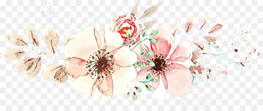 petalo rosa fiore pianta fiore - 