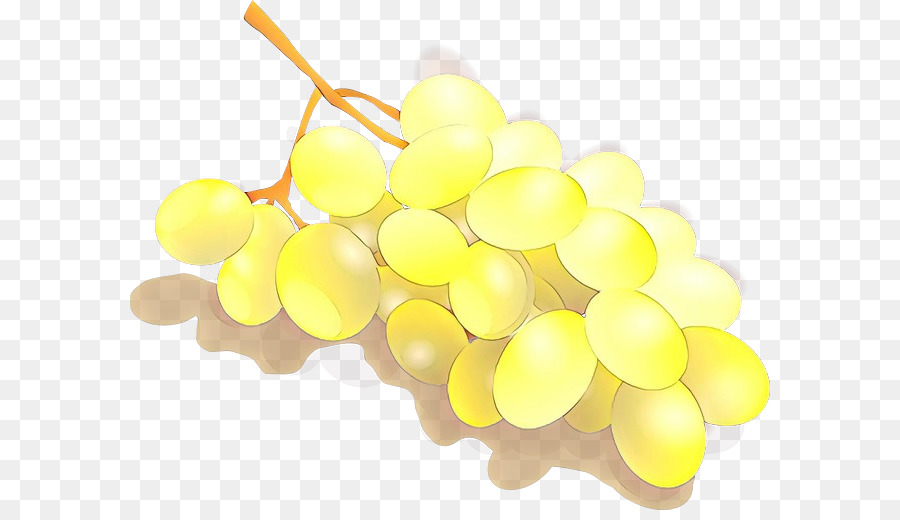 grape grapevine family yellow sultana vitis
