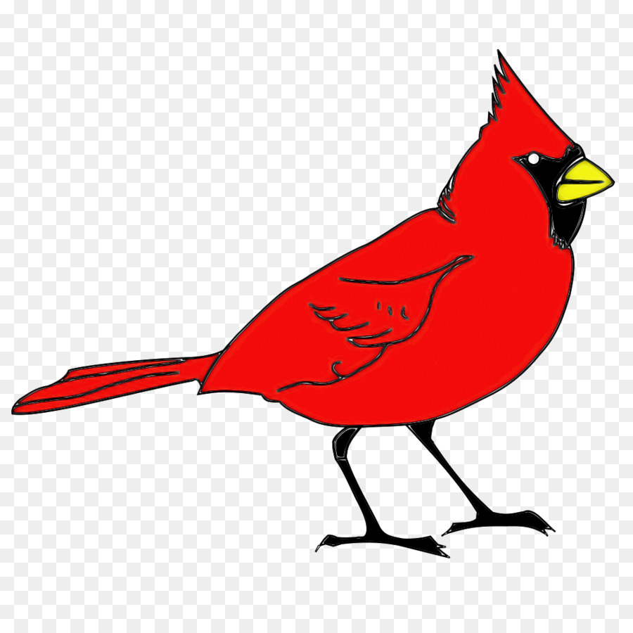 bird northern cardinal cardinal beak songbird